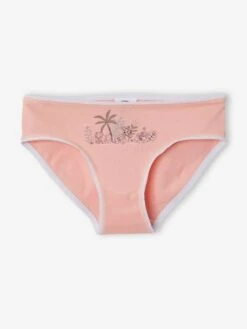 Lot De 3 Culottes Fille Pat Patrouille® Blanc / Rose / Gris Chiné - Pat' Patrouille -Petite Modeuse lot de 3 culottes fille pat patrouille 3