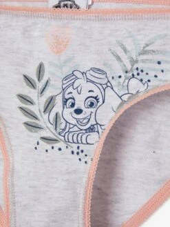 Lot De 3 Culottes Fille Pat Patrouille® Blanc / Rose / Gris Chiné - Pat' Patrouille -Petite Modeuse lot de 3 culottes fille pat patrouille 5