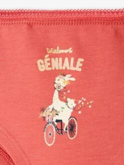 Lot De 3 Shorties Fleurs Et Lama Fille Lot Rose - Vertbaudet 11 Lot De 3 Shorties Fleurs Et Lama Fille Lot Rose - Vertbaudet -Petite Modeuse lot de 3 shorties fleurs et lama fille 5