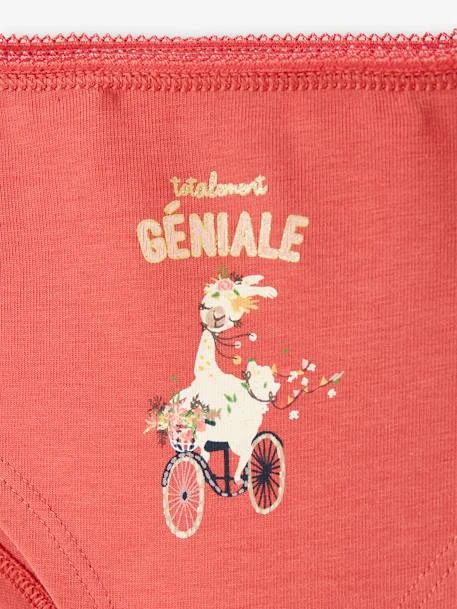 Lot De 3 Shorties Fleurs Et Lama Fille Lot Rose - Vertbaudet 6 Lot De 3 Shorties Fleurs Et Lama Fille Lot Rose - Vertbaudet – Image 6