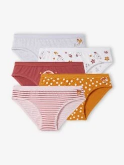 Lot De 5 Culottes Disney® Bambi Lot Gris, Bordeaux, Camel, Ros - Disney