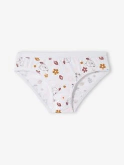 Lot De 5 Culottes Disney® Bambi Lot Gris, Bordeaux, Camel, Ros - Disney -Petite Modeuse lot de 5 culottes disney bambi 4