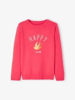 Pull Basics à Message Détails Irisés Fille Abricot Poudré - Vertbaudet -Petite Modeuse pull basics a message details irises fille 3