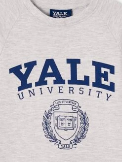 Robe-sweat Fille Yale® Gris Chiné - Toutes Les Marques -Petite Modeuse robe sweat fille yale 2